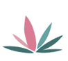 http://www.zenythonline.de/neu